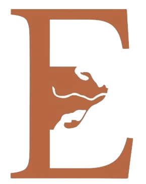 porta ebre logo